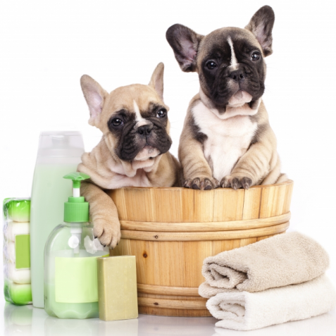 Centre Canin Maman Chien Toilettage