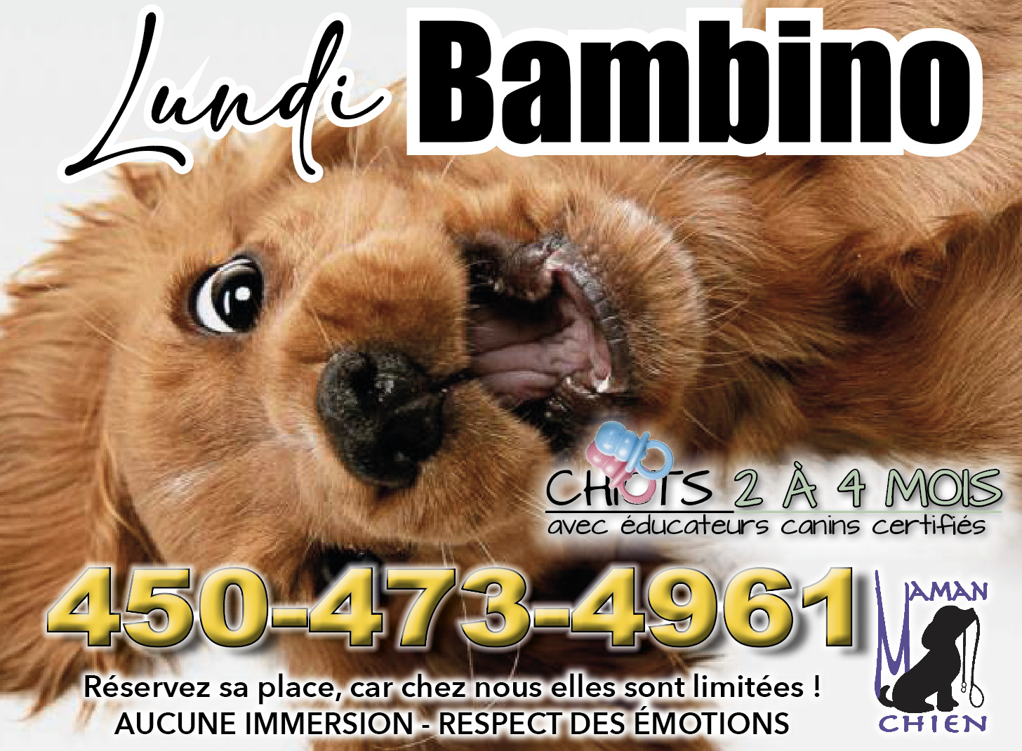 Lundi Bambino Maman Chien Garderie Pension