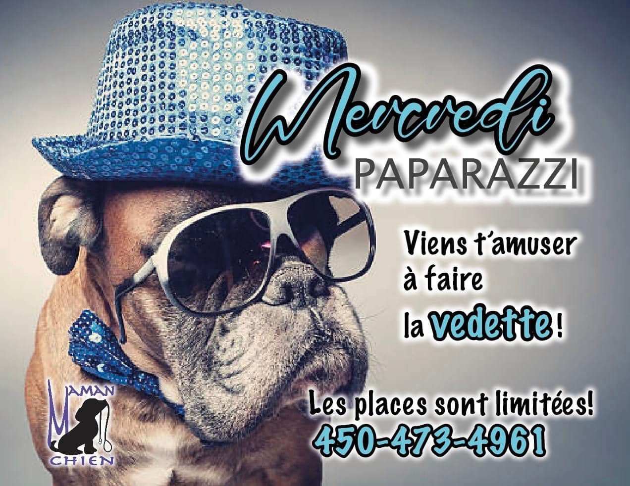 Mercredi Paparazzi Maman Chien Pension Garderie