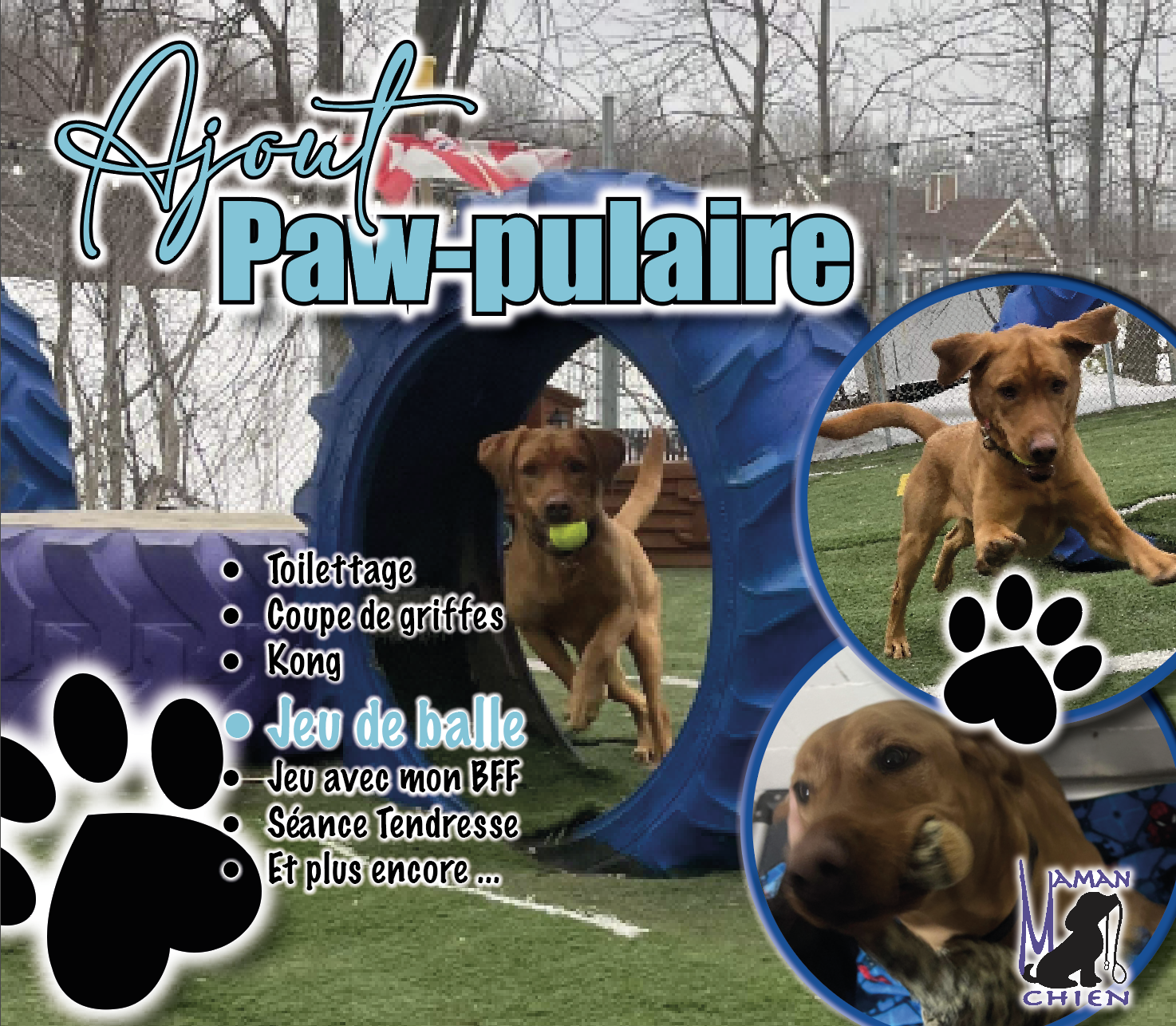 Ajout PAWpulaire Jeu de Balle