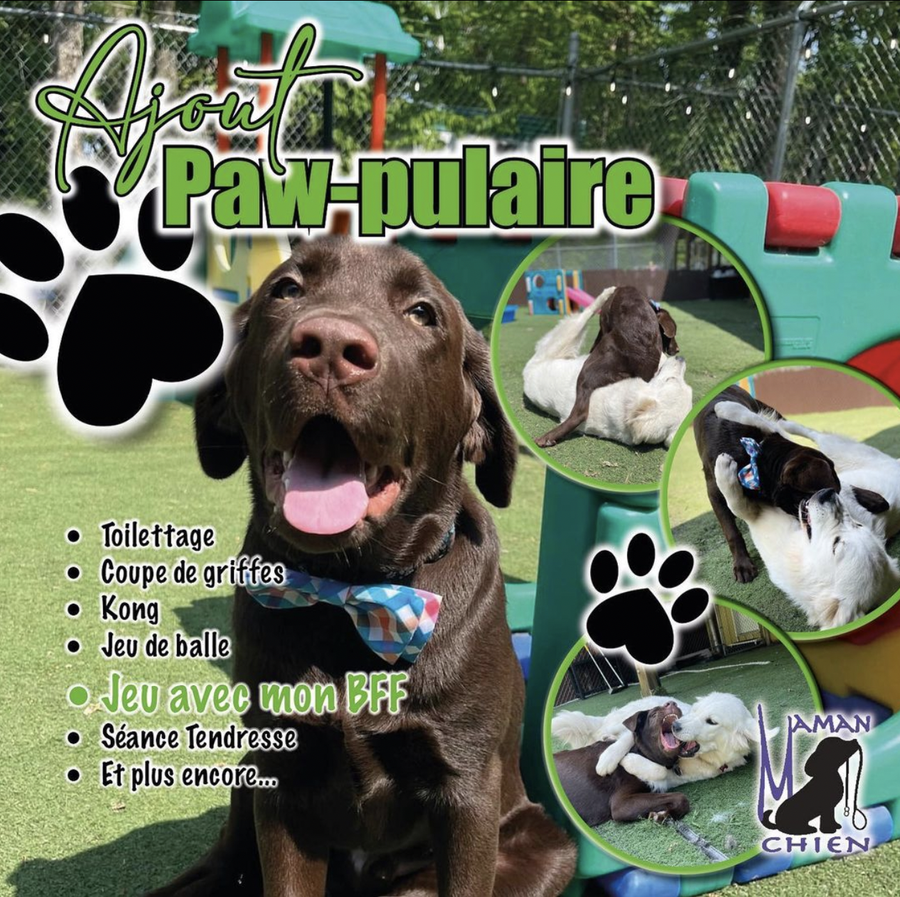 Capture d’écran, le 2023-06-09 à 18.21.00