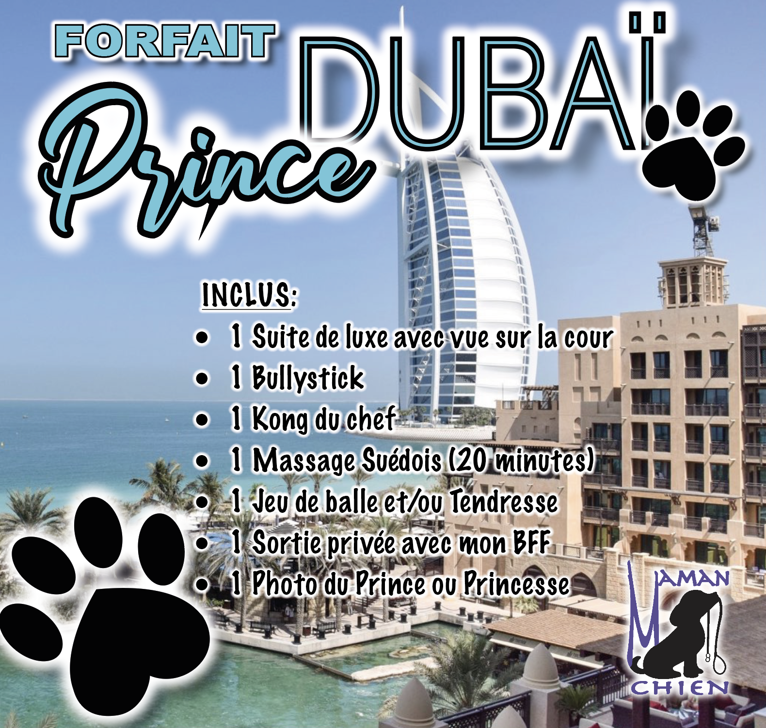 Prince Dubai Maman Chien Garderie Pension